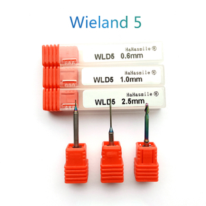 Wieland Zenotec Select 5 Zirkoniasfräsen Burs 