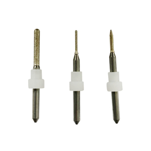 Roland lithium disiliceer freesburs 